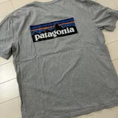 patagonia グレー Tシャツ　us