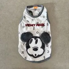 Item thumbnail for item 77764033-1052-4b14-ac88-c8f1e7304656