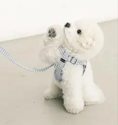 Item thumbnail for item 9d82e5a7-0c8d-424e-8f61-b9c6879cb273