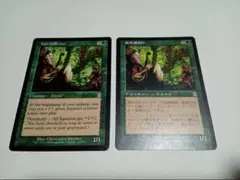 MTG 木の実拾い 2枚セット