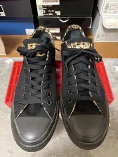 Item thumbnail for item 80585b28-19bc-4d64-b268-2a5ed2475103