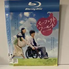 ★パーフェクトワールド 君といる奇跡 ブルーレイ [DVD]★送料無料★2503