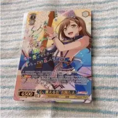 【匿名配送】ヴァイス うさぎに見えるもの 花園たえ SSP サイン サイン)“うさぎに見えるもの”花園たえ(SSP)(BD-W63-079SSPSSP