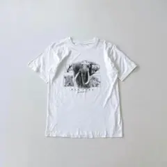 00s アニマル　グラフィック　プリント Tシャツ　象　ライオン　ヒョウ