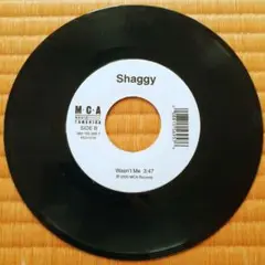 Shaggy - Wasn't Me 7インチレコード