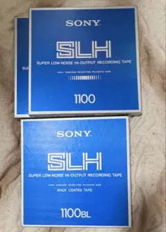 Item thumbnail for item 2557f5f9-38fd-4f92-911e-441b510d6302