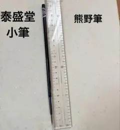 Item thumbnail for item c6347417-bc6c-4dfe-a940-38689fcdef51