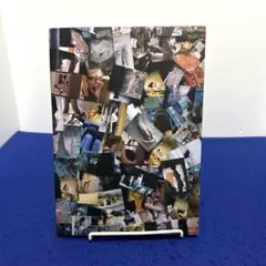 流出 橋本マナミ写真集