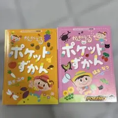 チャイルドブック　かんがえる　ポケットずかん