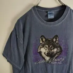 オオカミ 半袖Tシャツ ブルー アニマルプリント ギルダン