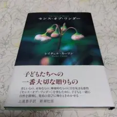センス・オブ・ワンダー