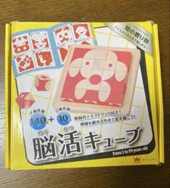 脳活キューブ 140+作例付き　　エド・インター