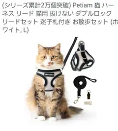 Item thumbnail for item 64a255bd-9903-4fcf-bdcd-64ae443321d3