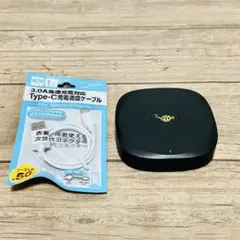 Item thumbnail for item e97d08c1-12a7-4b1f-8663-5318f2b5a462