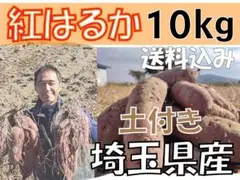 紅はるか 10kg さつまいも 土付き 埼玉県産 べにはるか 10キロ