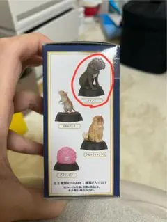 ハリー・ポッター 魔法生物コレクション ファング