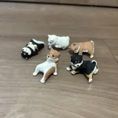 柴犬5体セット