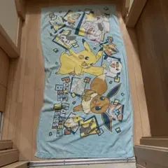 ポケモン タオル ピカチュウ イーブイ2012年くらいに購入しました