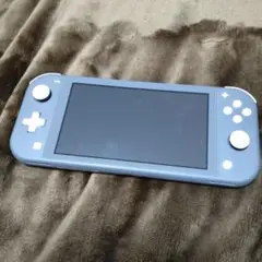 Nintendo Switch NINTENDO SWITCH LITE グ…