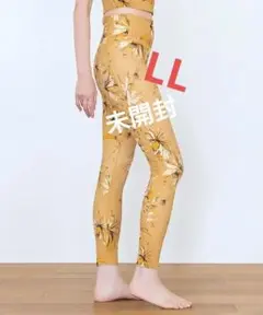 Item thumbnail for item 563bb61d-e373-405a-beca-e3a497e608e6