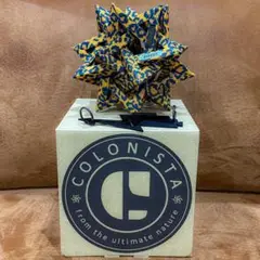 COLONISTA CONPE10 GOOUTO限定　ゼブラ コラボのゼブラ柄をまとった限定カラーのCONPE10。コロニスタの