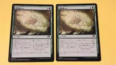 邪悪鳴らし　2枚セット