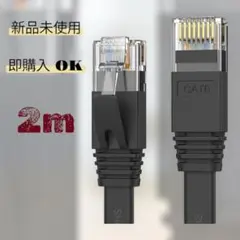 超便利⭐️LANケーブル 2m CAT6 フラットLANケーブル ブラック