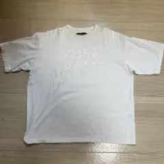 汚れあり　最安値　AUBERGE NORD 刺繍　Tシャツ