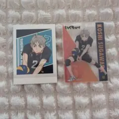 ハイキュー 菅原孝支 パシャこれ カード