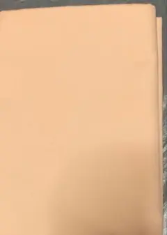 Item thumbnail for item defea351-fca4-49b7-8783-29dd7616d863