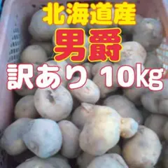 北海道産 男爵 訳あり 10キロ じゃがいも