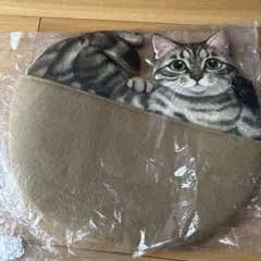 ハンモックでくつろぐ猫さんにあずけるウォールポケット