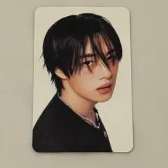 389. Straykids リノ トレカ