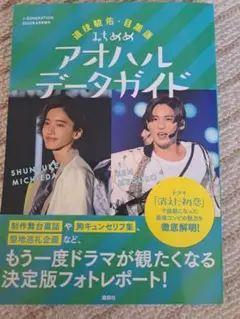 消えた初恋　アオハルデータガイド