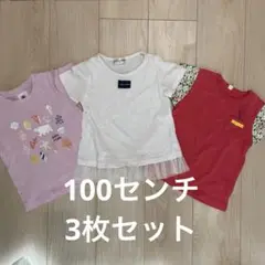 キッズ Tシャツ 3枚セット 100cm 女の子　保育園　幼稚園　水遊び　泥遊び