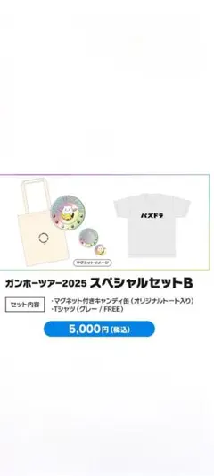 パズドラ　ガンフェス2025 会場限定グッズ　セットB 　未開封