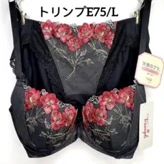 新品 triumph天使のブラスリムライン534セットE75/L