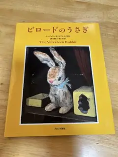 海外の絵本作家5冊セット　ビロードのうさぎ、魔術師キャッツ、いばらひめなど