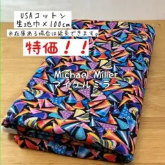 1m 《USAコットン》マイケルミラー パーティハットユニークカラフルぼうし帽子