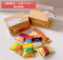 ミニチュアフード　ミニチュア　ポテチ