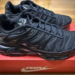 Nike Air Max Plus エアマックスプラス 30センチ