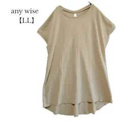 【any wise／エニワイズ】ショートスリーブ　カットソー　ワッフル　LL