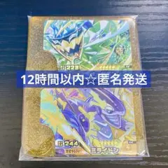 ポケモンフレンダ　レガシーピック　ミライドン　オーガポン２枚セット