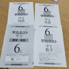 2018年度6月　学力テスト　中2