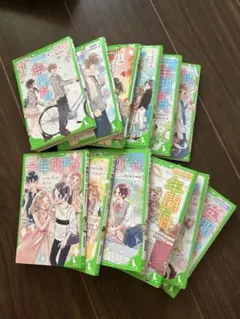 年間だけ 全12巻セット
