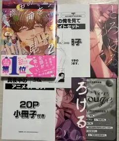 真夜中の俺を見て 2 BL 漫画 8月 最新刊 アニメイト限定セット 小冊子