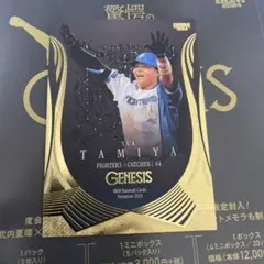 BBM 2024 GENESIS ジェネシス　ベースボールマガジン　田宮裕涼