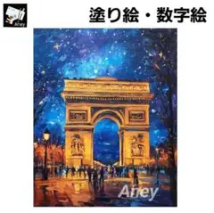 E836　大人の塗り絵　ペイントバイナンバー　数字塗り絵　油絵