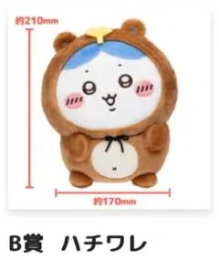 たぬきだもん　B賞　ハチワレ
