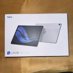 NEC LAVIE Tab T10d プラチナグレー wifiモデル